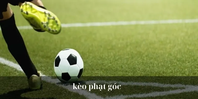 Bí Quyết Soi Kèo Phạt Góc Bóng Đá Chính Xác Từ Chuyên Gia