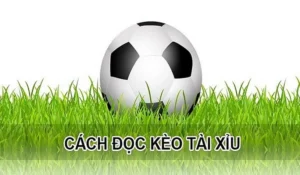 Hướng Dẫn Phân Tích Kèo Tài Xỉu Chỉ Số Bàn Thắng