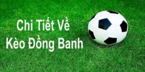 Hiểu Rõ Về Kèo Đồng Banh Và Chiến Thuật Đặt Cược