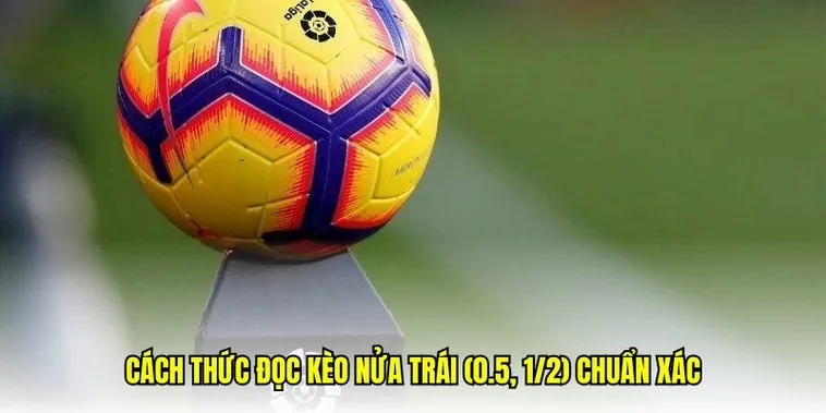Phân Tích Kỹ Thuật Chơi Kèo Chấp 0.5 Trong Bóng Đá Chuyên Nghiệp