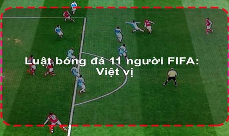 Hướng Dẫn Những Tiêu Chuẩn Của Luật Sân Bóng Đá Thi Đấu Chuyên Nghiệp