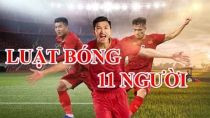 Hướng Dẫn Những Tiêu Chuẩn Của Luật Sân Bóng Đá Thi Đấu Chuyên Nghiệp