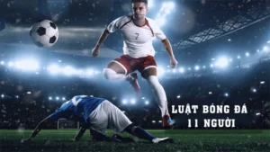 Hướng Dẫn Quy Định Số Lượng Cầu Thủ Bóng Đá FIFA