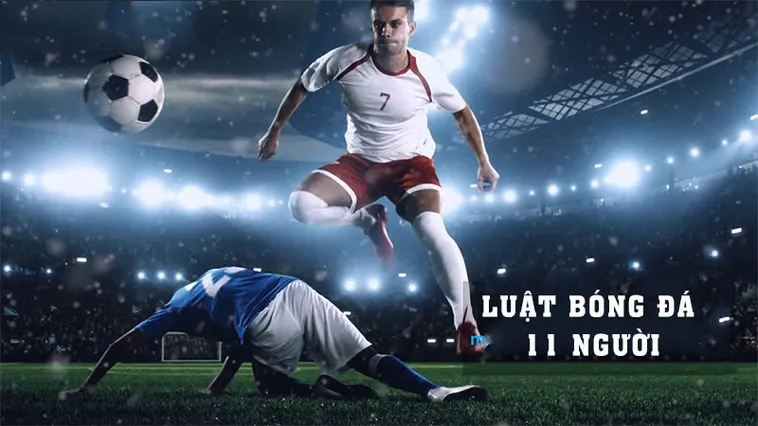 Hướng Dẫn Quy Định Số Lượng Cầu Thủ Bóng Đá FIFA